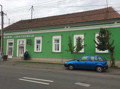 hölgy tagjára bízza a döntést, milyen is