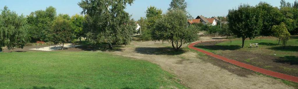 Igazán értékes, jellegzetes, majdnem egységes fasor csak a kemping és a szabadstrand között vezető út mellett található, ahol nagyméretű, szép ostorfák, (Celtis occidentalis) és vadgesztenyék