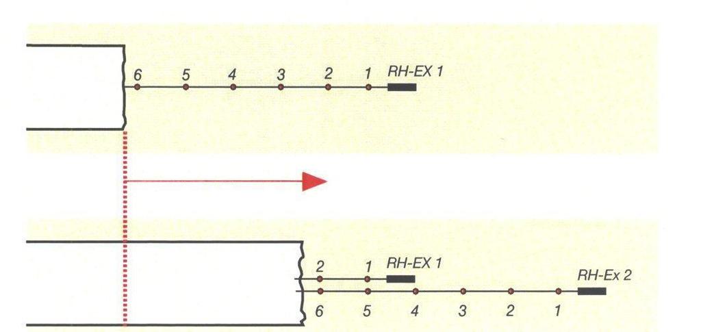 Reverse head extensometer arrangement