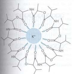 Ion