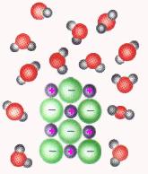 oldószerben) adhéziós erık (a szilárd anyag és az oldószer között) hidrátburok vízmolekulák koordinációja víztömeg Oldáshı: