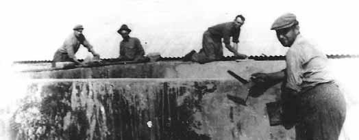 Podľa toho istého autora boli v roku 1968 stavy hospodárskych zvierat v JRD nasledovné: hovädzí dobytok 317 ks z toho kravy 117 ks, ošípané 313 z