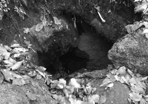 Neskoršie som sa k nemu vybavený sviečkou a baterkou vrátil sám. Dierou som sa spustil do úzkej chodby, ktorá v pravom uhle zabočovala do podzemia severným smerom, hlavný ešte nebol priechodný.