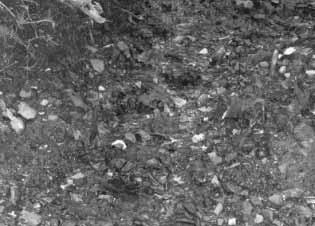 Uloženie nálezov, Archeologický ústav SAV, Nitra. Lokalita sa nachádza východným smerom od intravilánu obce v zalesnenom teréne smerom k Dačovmu Lomu.