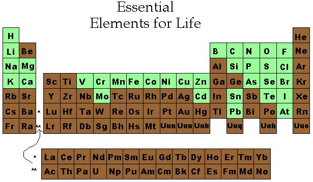 Az élet egységgességét jelzi A 92 vegyi elem: 25 elem Kémiai