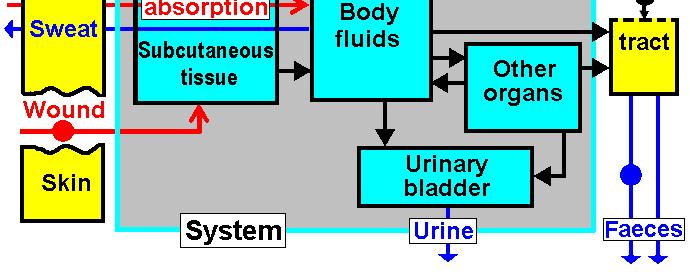 Internal Dosimetry