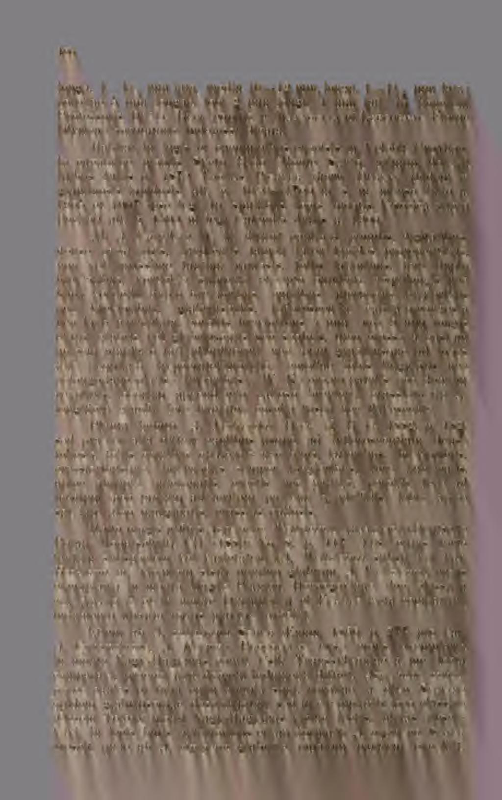 longa, 1 1\ 2 mm lata, média 10 12 mm. longa, 1 1 /^ mm lata corollae 5 mm longae, lobi 2 mm longi, 1 mm lati. In honorem Professoris D ris G.