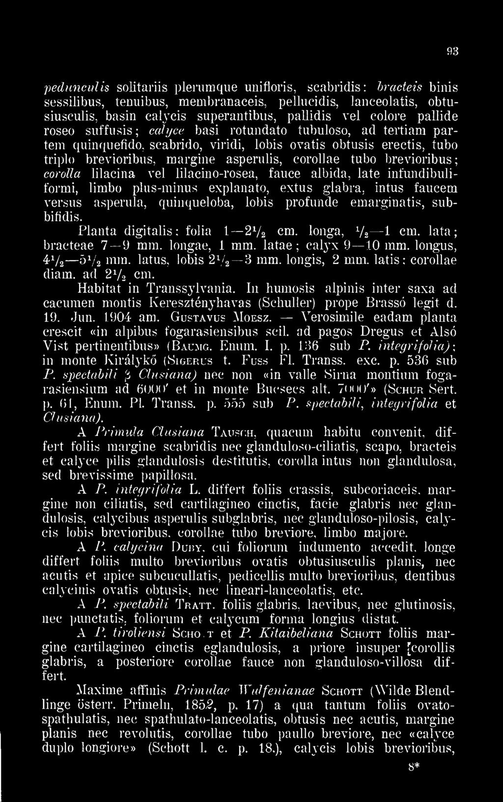 brevioribus corólla lilacina vei lilacino-rosea, fauce albida, laté infundibuliformi, limbo plus-minus explanato, extus glabra, intus faucem versus asperula, quinqueloba, lobis profunde emarginatis,