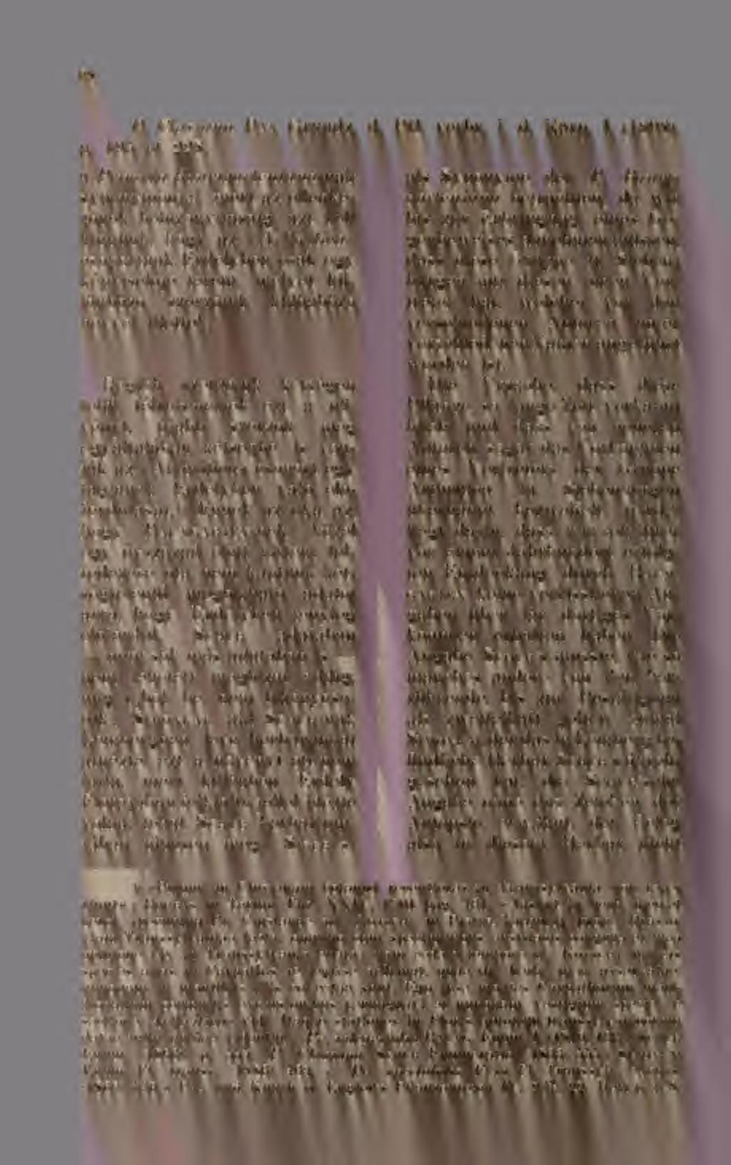 98 P. Clusiana Pax Grundz. d. Pfl. verbr. i. d. lvarp. I. (1898, p. 195 et 228.