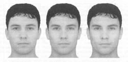 Férfi arc attraktivitás Nő alanyok, 2*, 2 hét különbséggel tesztelve Mennyire ítéltek egy arcot (1200) közül.