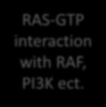 KRAS-inhibitor tervezési stratégiák RAS-GTP interaction with RAF, PI3K ect. 1) Az allosztérikus inhibitorok, melyek gátolják az effektor kötődést a rendszer sajátosságai miatt nem kecsegtet sikerrel.