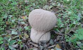 TÚRANAPTÁR 2018 Szeptember 22.