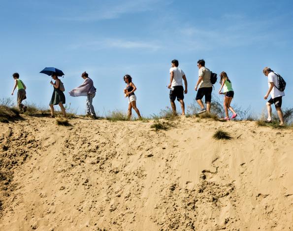 Elérhetőségeink: Kiskunsági Nemzeti Park Igazgatóság 6000 Kecskemét, Liszt F. u. 19. Telefon: +36 76/482-611, Fax: +36 76/481-074 e-mail: titkarsag@knp.hu Turisztikai információk: oktatasio@knp.