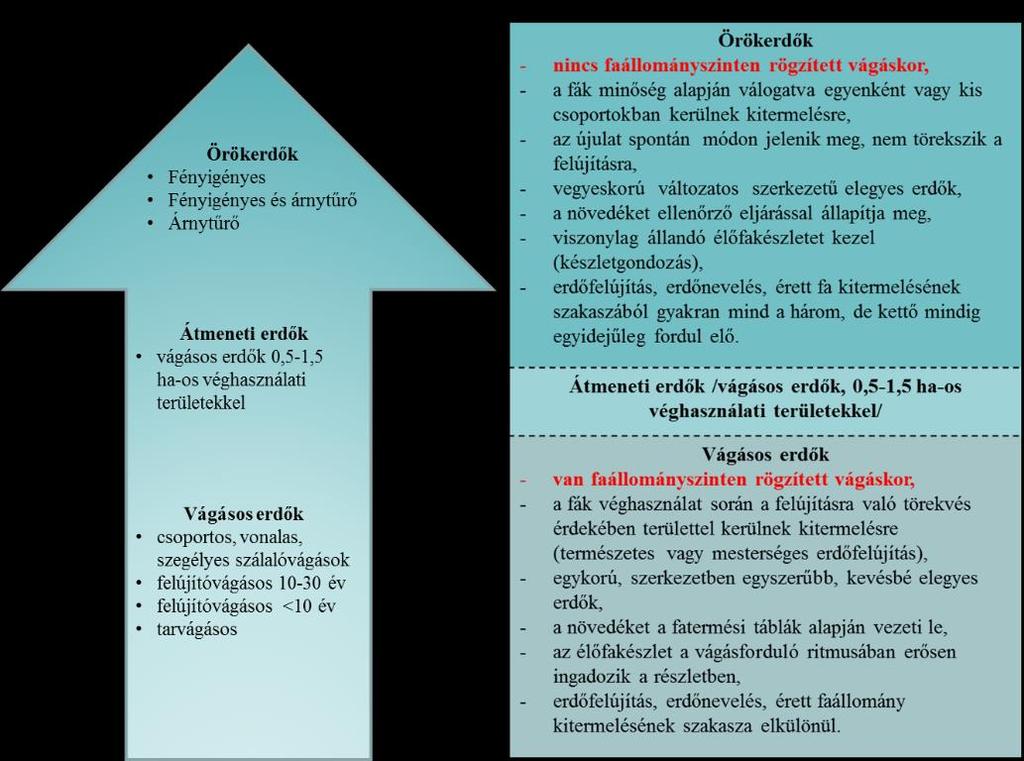 felvetették, hogy a felújítóvágásos erdőművelési rendszereket már ide lehetne sorolni (Koloszár 2010).