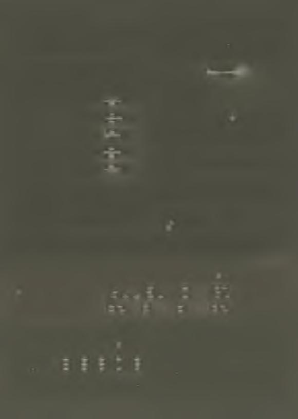 F aj Az amur, pettyes busa, fehér busa, amur x pettyes busa és fehér busa x pettyes busa pikkelyképletei Pikkelyképlet Fehér busa lin. lat.