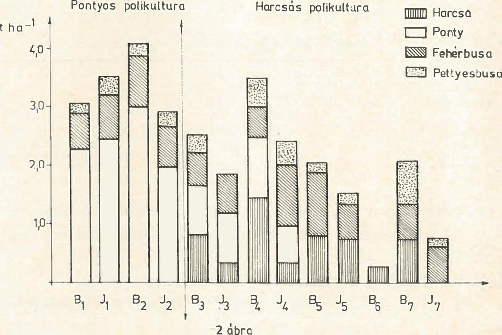 A kis előnevelt harcsák kiváló kondícióban és egészségesen kerültek át tavi nevelésre.