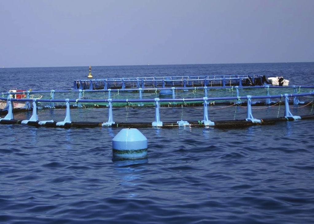 A mexikói halászat 267 000 főt foglalkoztat, a halfogyasztás 12 kg/fő/év (OECD Review of Fisheries: Country Statistics, 2014) 9.