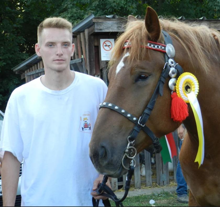 (fotó: Tóth Zsuzsa) (Miklós Roland nagyhajmási tenyésztő kancája a Szentlőrinci