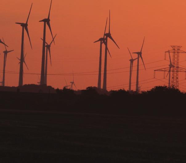 Obr. 4: Pohyb samca sokola rároha, označeného satelitnou vysielačkou v tesnej blízkosti veterného parku (oranžové hviezdy = veterné turbíny, modré kruhy = poloha označeného