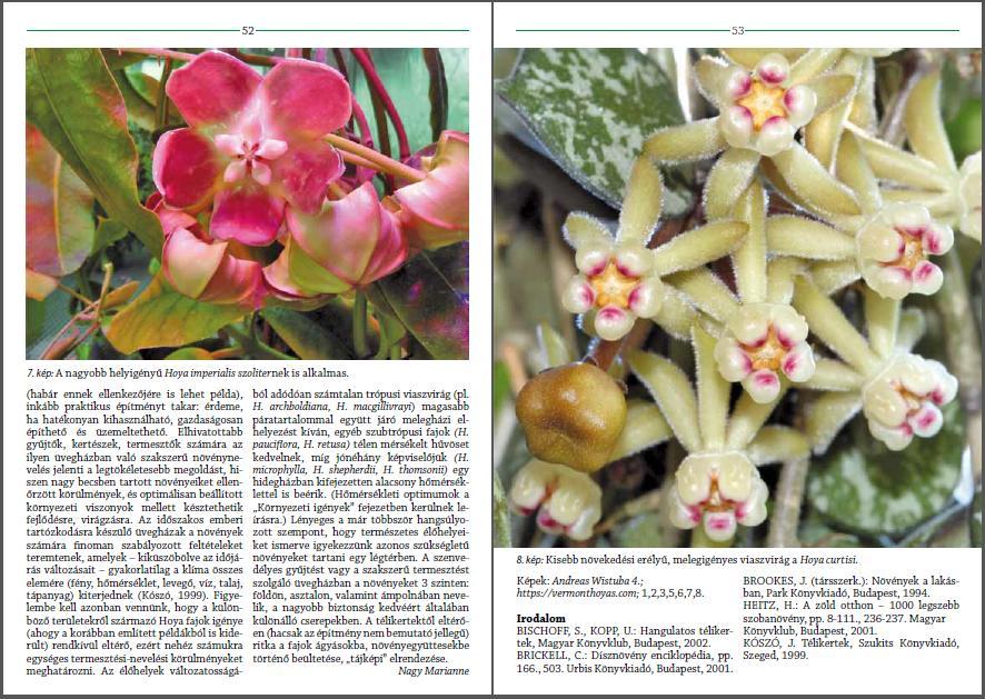 ( ) Élőhelyükön a termésből kihulló, vagy az állatok, a madarak, és a bogarak által széthordott magok a talaj mélyedéseiben, a kövek között, a növényzet takarásában állapodnak meg, ahol kedvező
