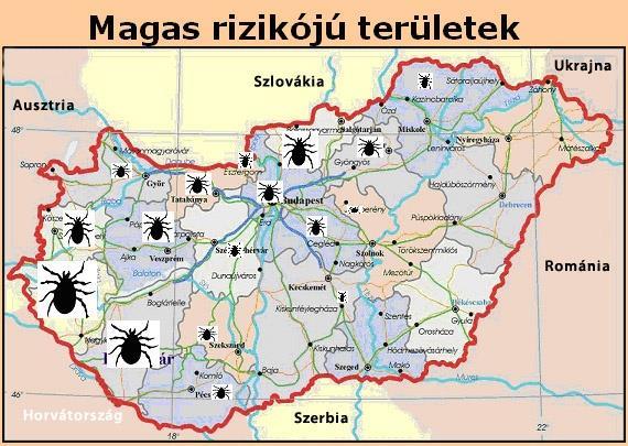 Grafikus ábrázolás Piktogram: figurális ábrázolás, mely a jelenséget