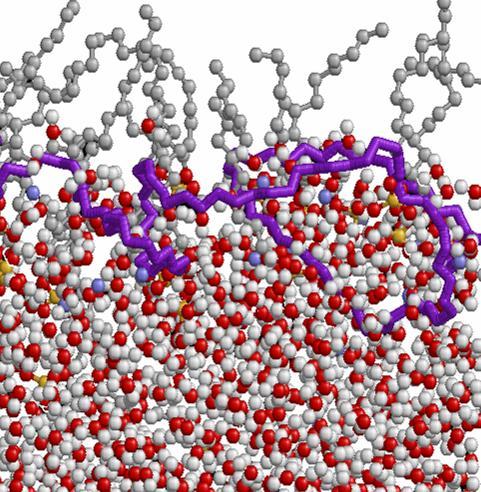 6 mol/m 2 aqueous phase interface apolar phase - kis mennyiségű NaDS odavonzza a