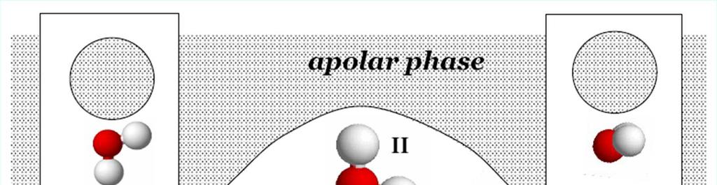 Vízmolekulák orientációja apoláros fázissal alkotott