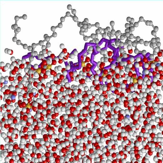 µmol/m 2 2 µmol/m 2 3 µmol/m 2 5 5 µmol/m 2 5 6 µmol/m 2 aqueous