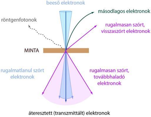 A hagyományos SEM készülékben csak olyan mintákat vizsgálhatunk melyek felülete vezető, hiszen a szigetelő minták a mérés alatt feltöltődnek az elektronbombázás révén.