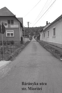 16. évfolyam 5.