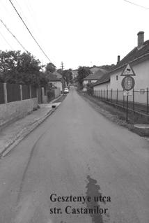 ) Két pályázat tartalmazza az alábbi utak aszfaltozására vonatkozó részeket, az első
