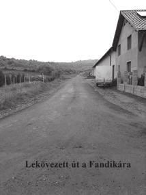 5. szám