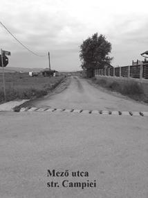 fejlődése