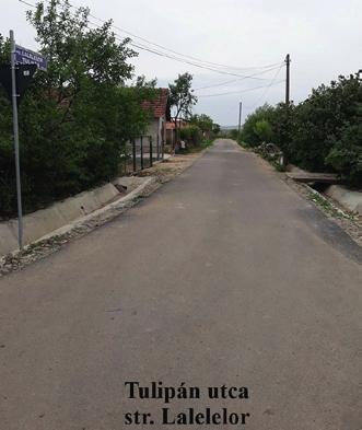 Nőszervezetének nevében