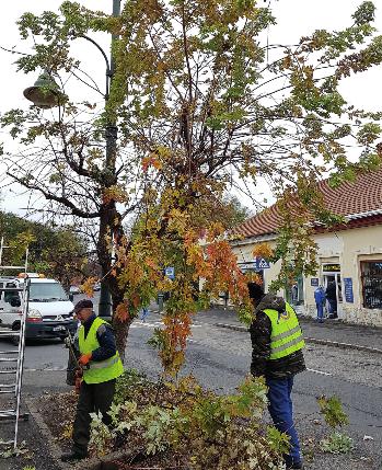 Ettől kezdve még biztonságosabbá válik a város, mert jobb felbontású képet kapunk, ami fontos szerepet játszik a bűnmegelőzésben hangsúlyozta Nyiri Tibor polgármester.