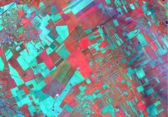 , Landsat 7 ETM+ növénytérkép-részlet 2003.
