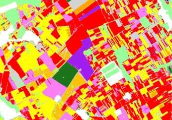 , Landsat 5 TM Őszi búza Tavaszi árpa Őszi