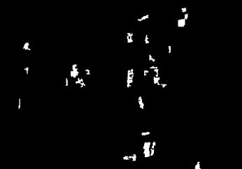 2005. 09.