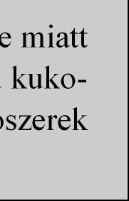 Kína növekvı kukorica igénye mellett aggodalomra adhat okot, hogy egyre ellentmondásosabb hírek jelennek meg az európai fagykárokról és az aszályról.