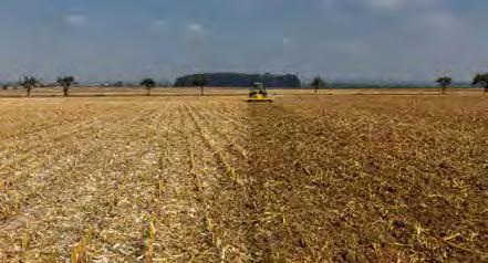 AGRONÓMIAI ELŐNYEI Betakarítás után felszínen maradt tarlómaradványok tökéletes bedolgozása. Mélyeb munka a standard szántóföldi kultivátorokkal szemben, amelyek csak 35 cm-ig képesek dolgozni.