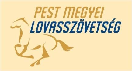 Pest megyei Bajnokság 2. Az ügyben többszöri telefonos és e-mailes egyeztetést folytattam Machay János megyei elnökkel.