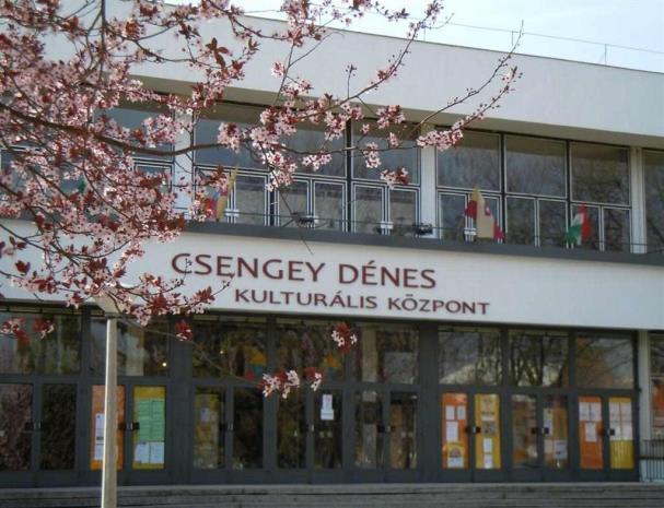 AZ ELLENŐRZÉS TERÜLETE Paks Város Önkormányzata és a kizárólagos tulajdonában lévő Paksi Közművelődési Közhasznú Nonprofit Kft. Paks Város Önkormányzata 2009.