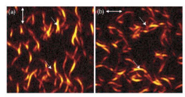 Konfokális Raman-mikroszkópia axiális felbontás Konfokális apertúra Fókuszon kívüli tartomány Raman-jele Szén nanocső kötegek konfokális Raman-képe A. Hartschuh, E.J. Sánchez, X.S. Xie, L.