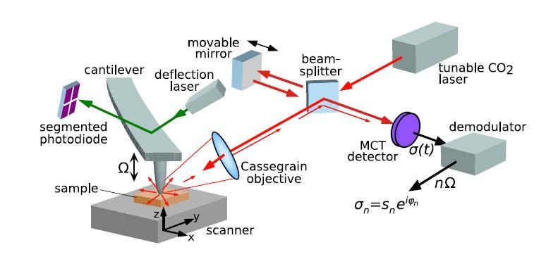 s-snom Scattering-Type Scanning Near-Field Optical Microscope AFM: tapping