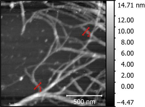 Fémes és félvezető szén nanocsőkötegek megkülönböztetése AFM topográfia 1,2