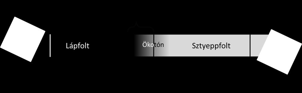 Turjánvidék A szelvények menti ökotonok pozíciójának és kontrasztjának meghatározása után, azok 2013-as és 2014-es, illetve 2014-es és 2015-ös évek között bekövetkező változásait egymintás tesztekkel