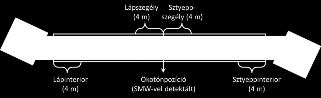 Annak ellenőrzésére, hogy az ökotonparaméterek időbeli változásmintázatát valóban a vízállapot fluktuációi okozzák-e (vagy az esetleges szimmetria csak a véletlen műve), további elemzéseket végeztem