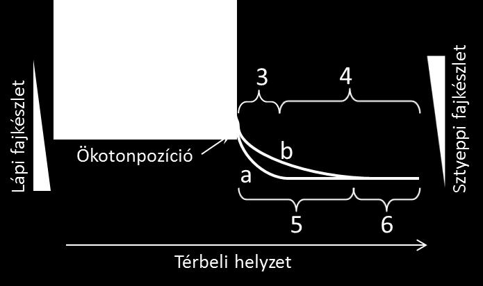 és szélességgel kapcsolatban is. Érdemes abból kiindulni, hogy a lápszegély száraz évben hasonlatosabbá vált a sztyeppszegélyhez, de a lápinterior kevésbé változott.