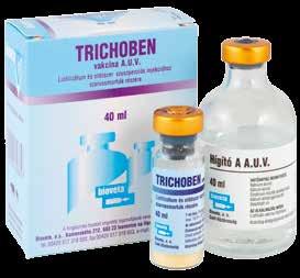 Kiszerelés: 20x3 g injektor Szárazra állításkor a tehenek penicillinre, dihidrosztreptomicinre és