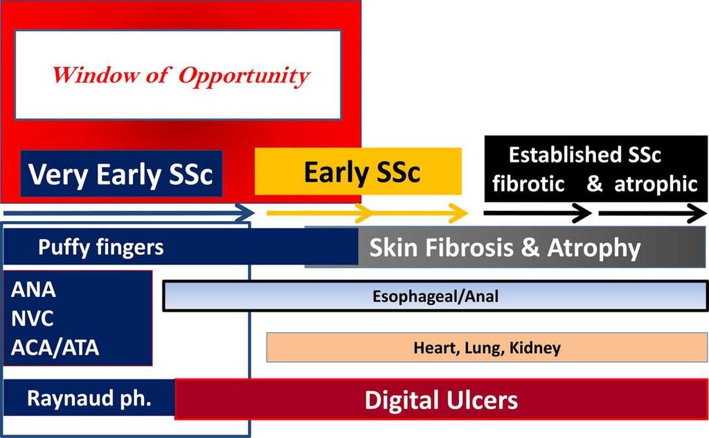 Matucci-Cerinic M et al. Ann Rheum Dis doi:10.